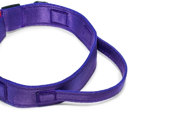 Halsband Fidlock®-Magnetverschluss mit Griff - lila